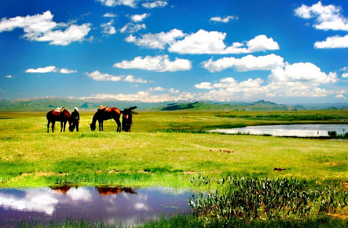 11 Days Silk Road Luxurious Travel